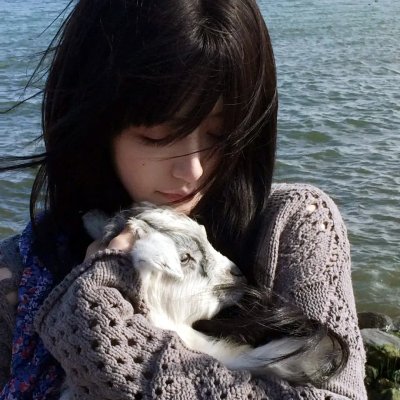 涩谷归来 海报