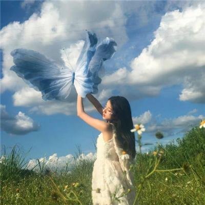继承者们 海报