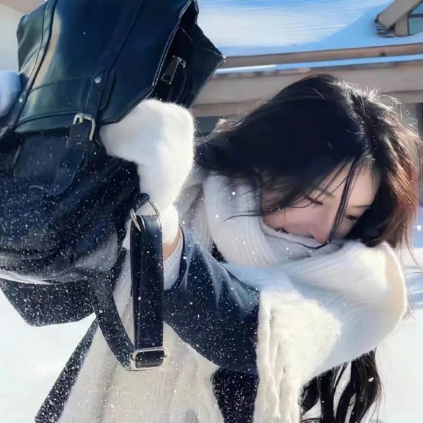雪国月光 海报